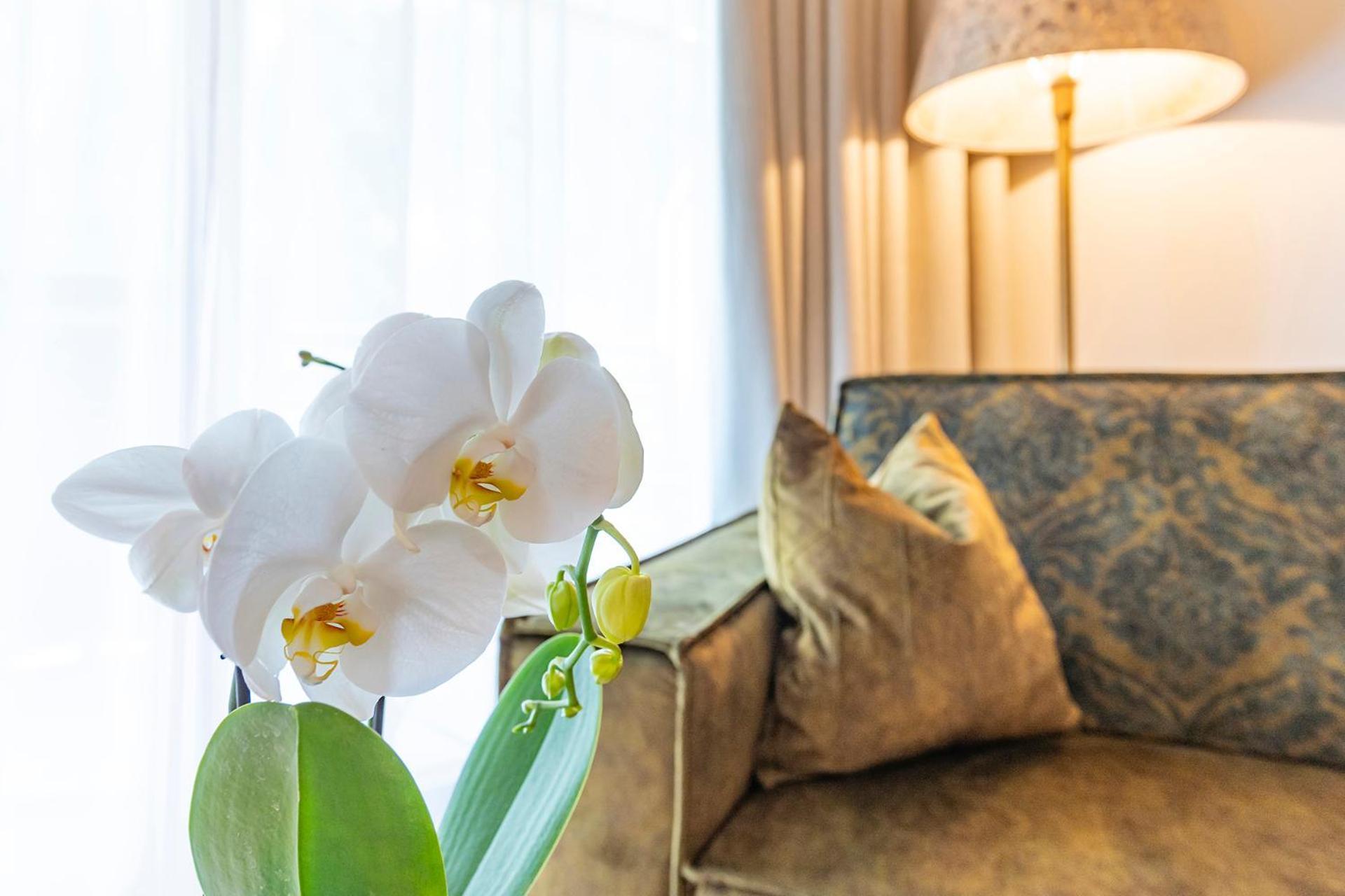 Hotel Alpenrose Гаргеллен Екстер'єр фото